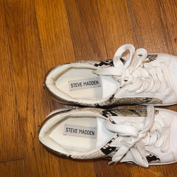 Steve Madden Star Sneakers - Picture 5 of 7